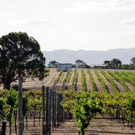 Hounds Run Vineyard - Tiny House In The Grampians Villa Great Western Exterior photo