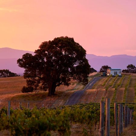 Hounds Run Vineyard - Tiny House In The Grampians Villa Great Western Exterior photo