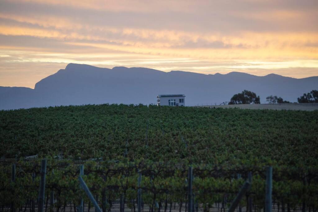 Hounds Run Vineyard - Tiny House In The Grampians Villa Great Western Exterior photo