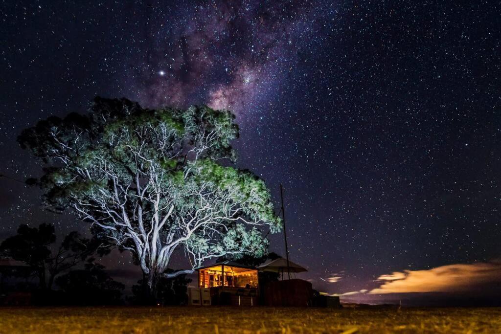 Hounds Run Vineyard - Tiny House In The Grampians Villa Great Western Exterior photo