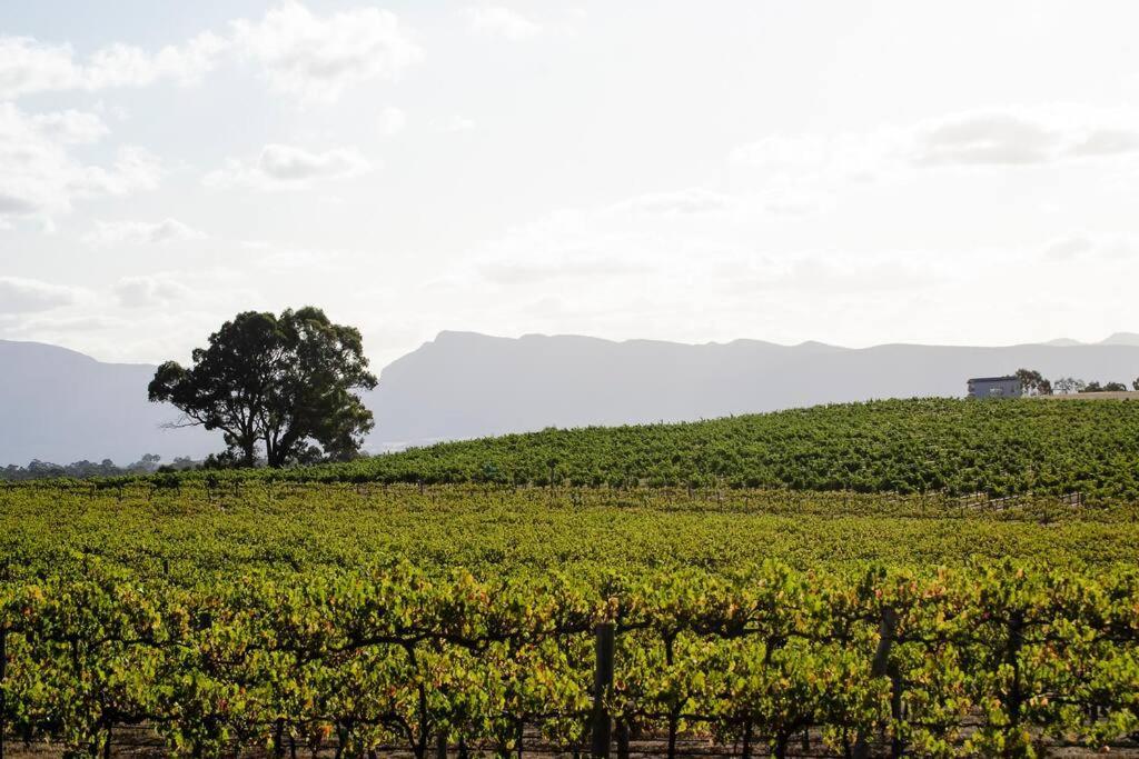 Hounds Run Vineyard - Tiny House In The Grampians Villa Great Western Exterior photo