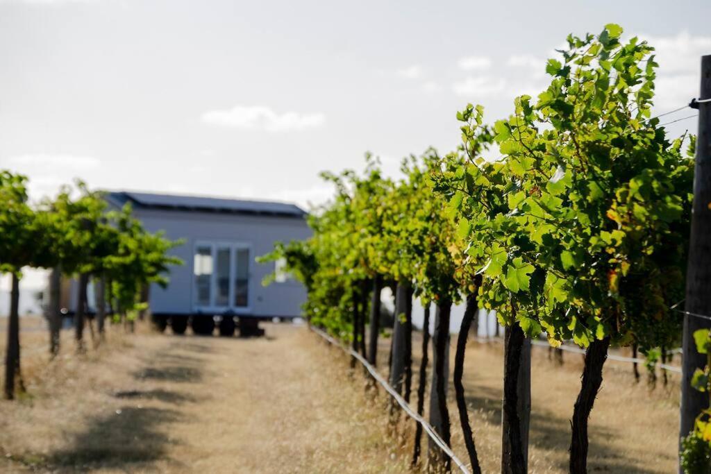 Hounds Run Vineyard - Tiny House In The Grampians Villa Great Western Exterior photo