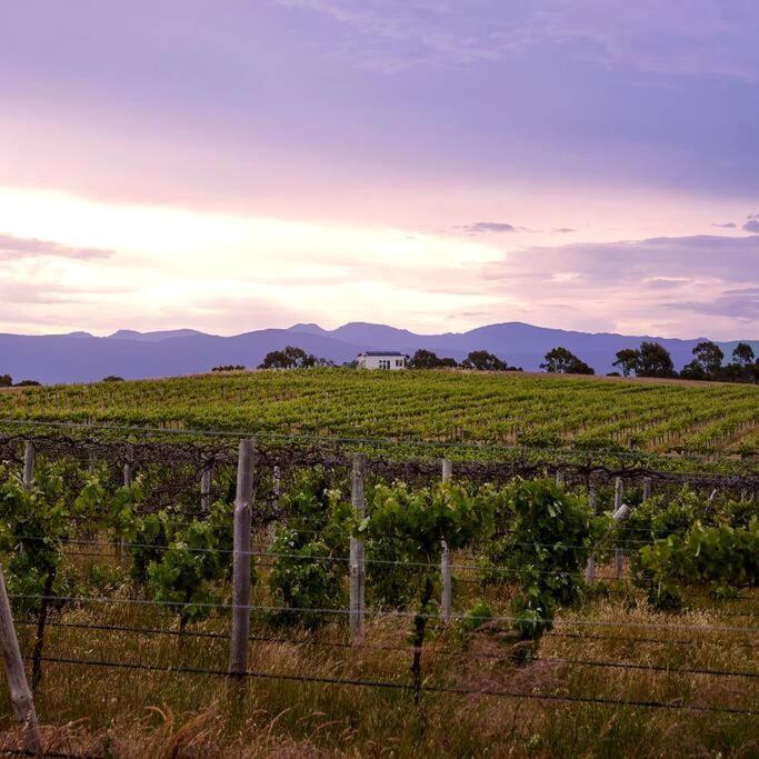 Hounds Run Vineyard - Tiny House In The Grampians Villa Great Western Exterior photo