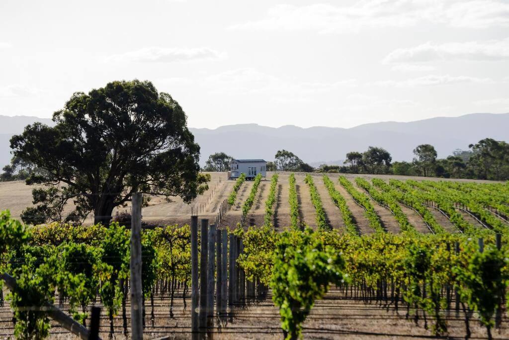 Hounds Run Vineyard - Tiny House In The Grampians Villa Great Western Exterior photo