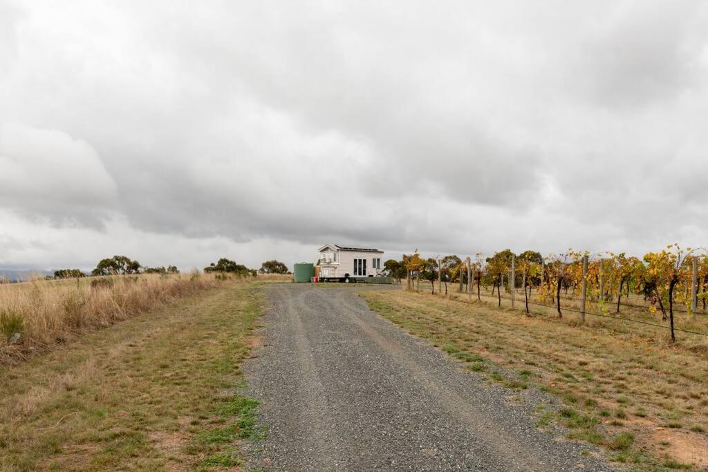 Hounds Run Vineyard - Tiny House In The Grampians Villa Great Western Exterior photo