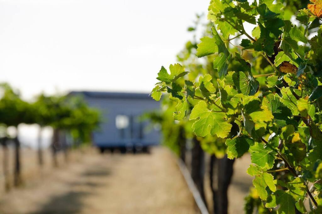 Hounds Run Vineyard - Tiny House In The Grampians Villa Great Western Exterior photo