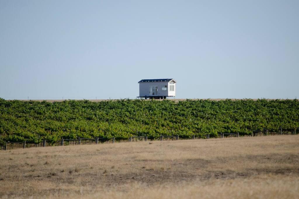 Hounds Run Vineyard - Tiny House In The Grampians Villa Great Western Exterior photo