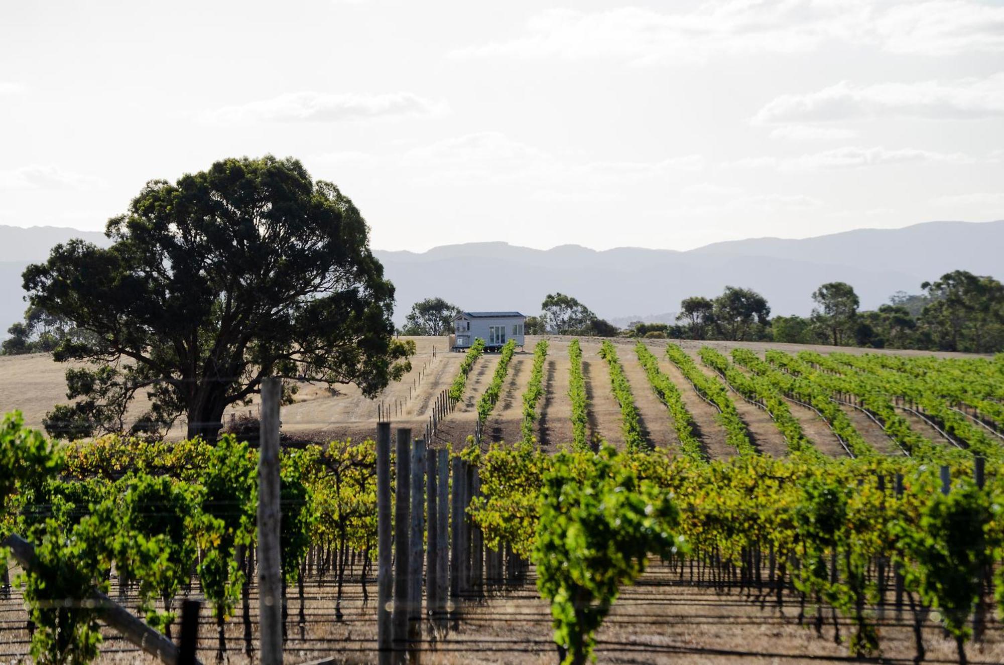 Hounds Run Vineyard - Tiny House In The Grampians Villa Great Western Exterior photo