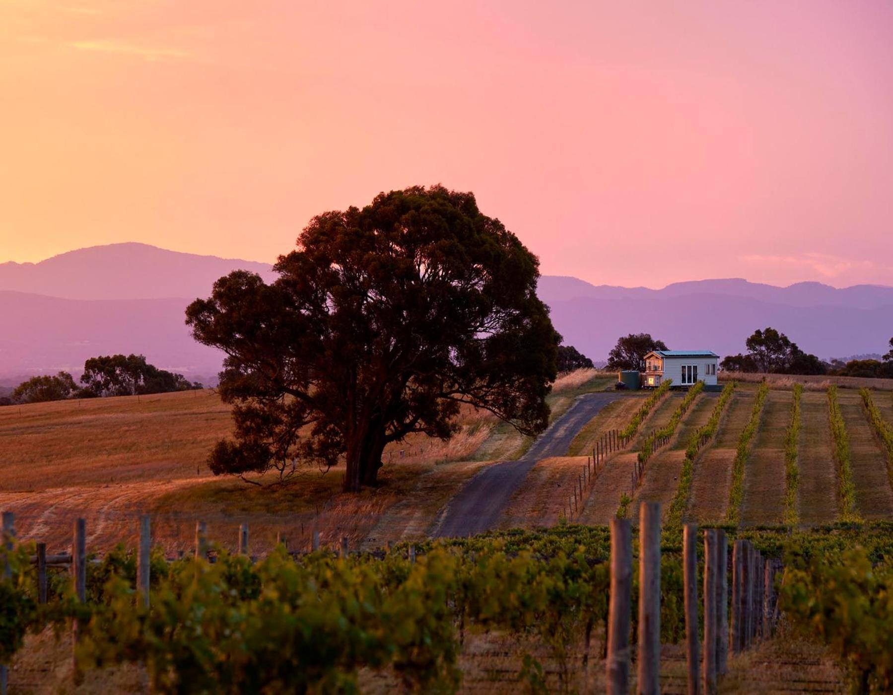 Hounds Run Vineyard - Tiny House In The Grampians Villa Great Western Exterior photo